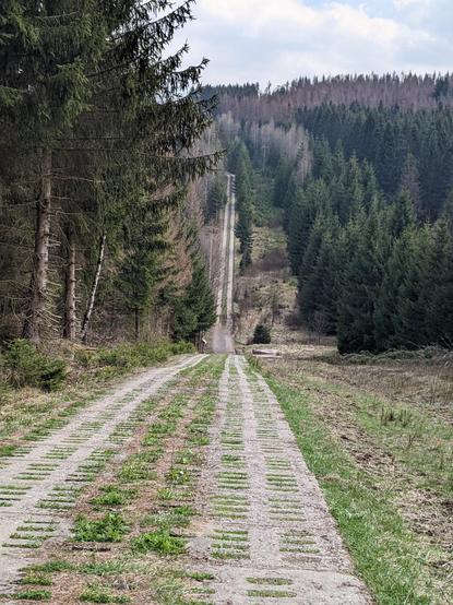 Plattenweg im Harz - rauf und runter